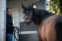 Verladetraining mit Spa&szlig;